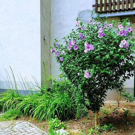Room In City Center Halle With Shared Bathroom & Kitchen - Free Wifi, Netflix, Ipad & Ground Floor Ngoại thất bức ảnh